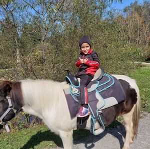 Meet your Posher, Joe